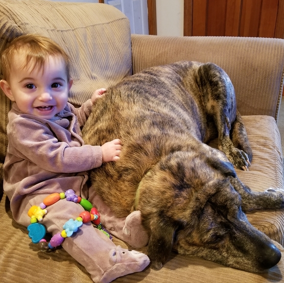 Dogs & Kids - Picture 4 of 16